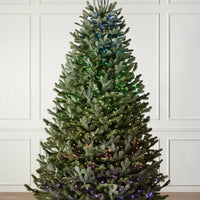 Sapins de Noël artificiels Fraser