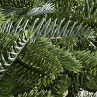Sapins de Nordmann artificiel