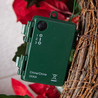 corona de flor de Pascua